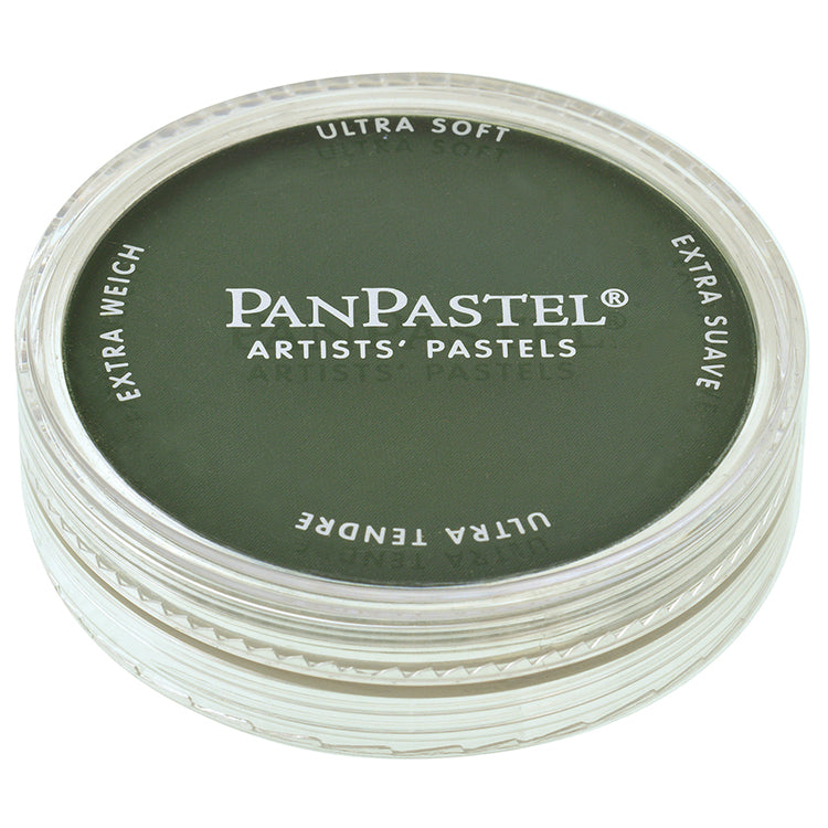Panpastel 9ml Permanent Green Extra Dark ⚠️