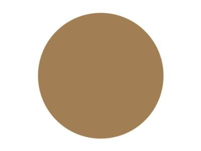 Pitt Art Pen Raw Umber
