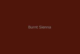 Gamblin Dry Pigment Burnt Sienna 4oz ⚠️