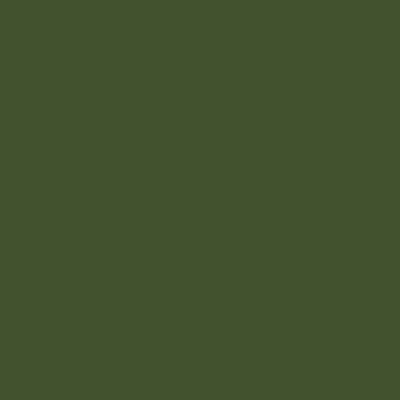 PC1090 Prismacolor Premier Colored Pencil Kelp Green