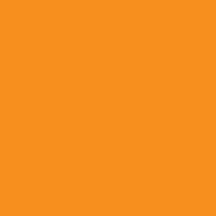 Gelly Roll Medium Orange