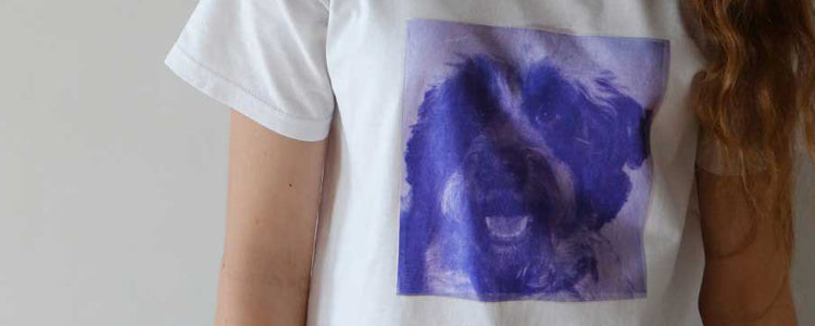 SolarFast Dye