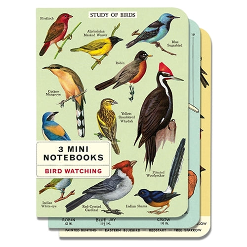 Cavallini Mini Notebooks Bird Watching 3pk