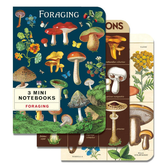 Cavallini Mini Notebook Foraging 3pk