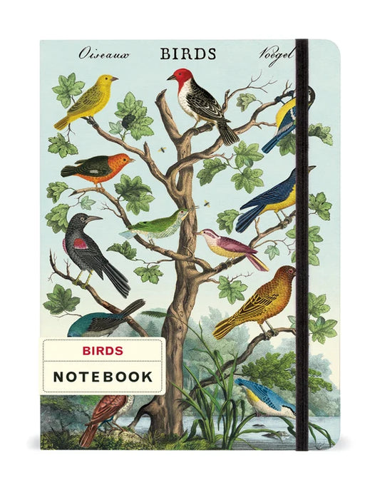 Cavallini Large Notebook Birds