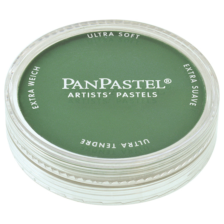 Panpastel 9ml Permanent Green Shade ⚠️