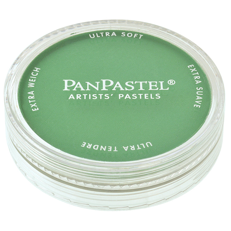 Panpastel 9ml Permanent Green ⚠️