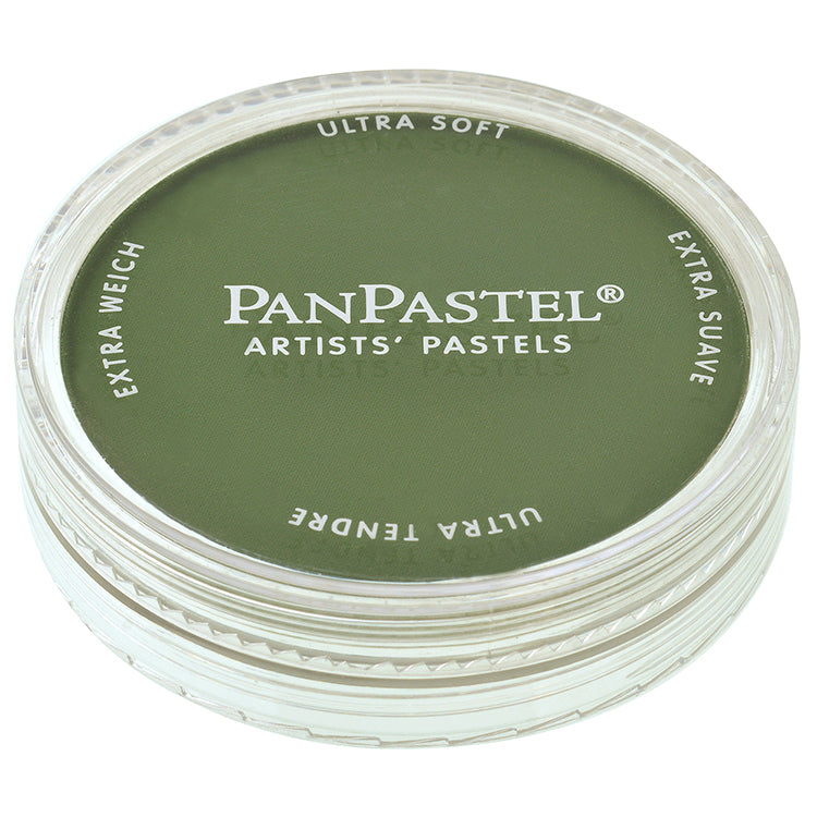 Panpastel 9ml Chromium Oxide Green Shade ⚠️