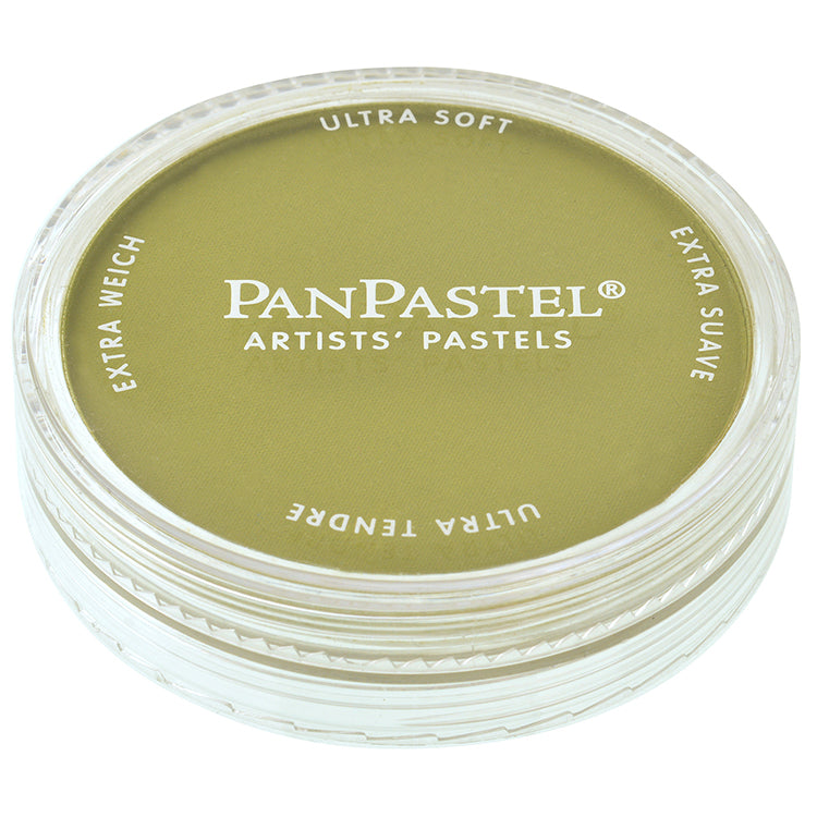 Panpastel 9ml Bright Yellow Green Shade ⚠️
