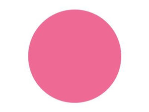 Pitt Art Pen Pink Carmine