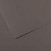 Mi-Teintes® Dark Grey 19"x25"