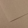 Mi-Teintes® Steel Grey 19"x25"
