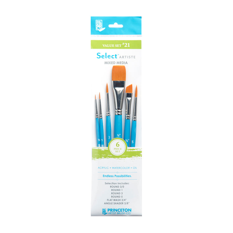Princeton Value Brush Set #21