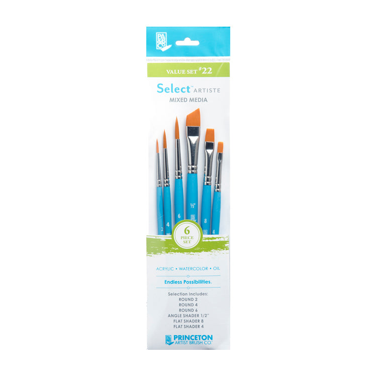 Princeton Value Brush Set #22