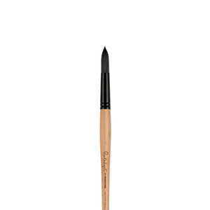 Princeton Catalyst Polytip Round 8 Long Handle