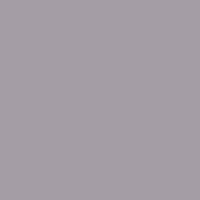 PC1054 Prismacolor Premier Colored Pencil Warm Gray 50