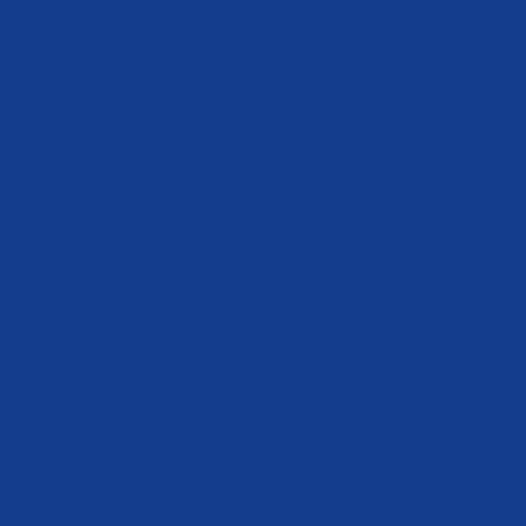 Gelly Roll Medium Royal Blue
